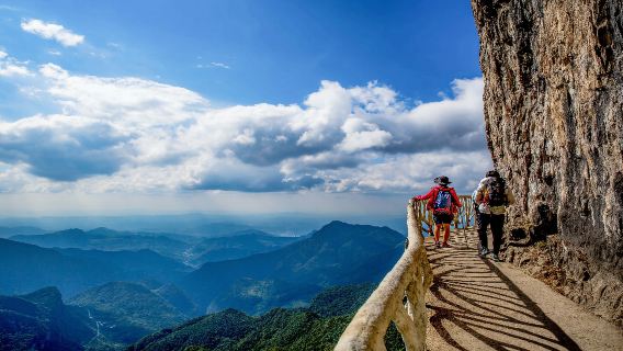 Hike in Chongqing Jinfo Mountain to explore ancient forests and rare plants