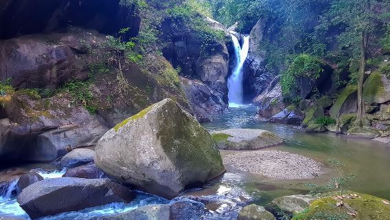 Escursione di un giorno intero a Minca con laboratorio di caffè e cacao