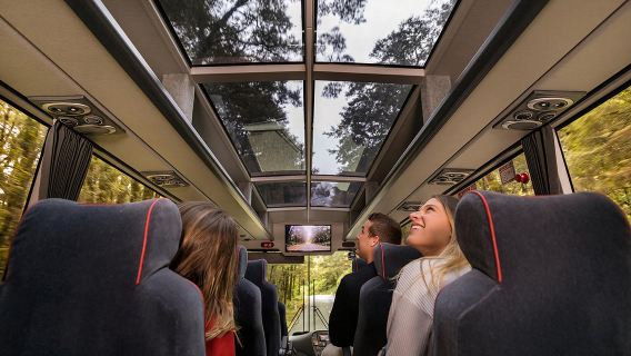 Milford Sound one-day tour