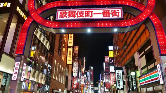 The Dark Side of Tokyo - Night Walking Tour Shinjuku Kabukicho