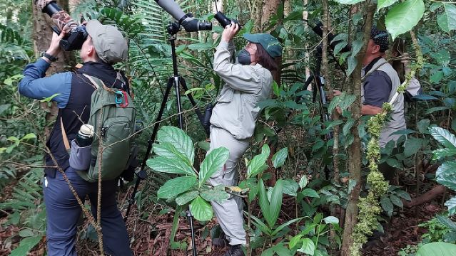 ประสบการณ์การดูนกมอนเตเวอร์เด