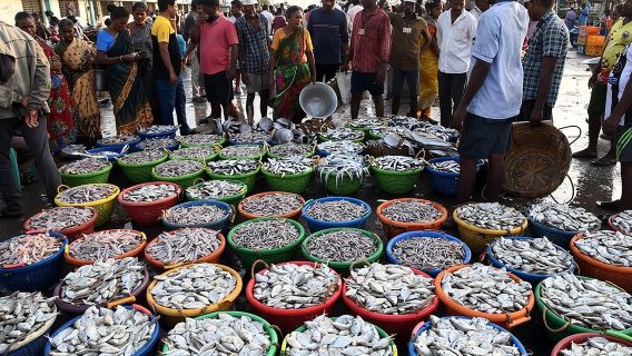 Das prächtige Chennai: Private Halbtagestour durch Chennai