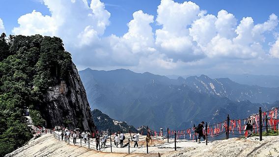 華山一日遊【2–8 人小團|純玩.可打卡網紅店】