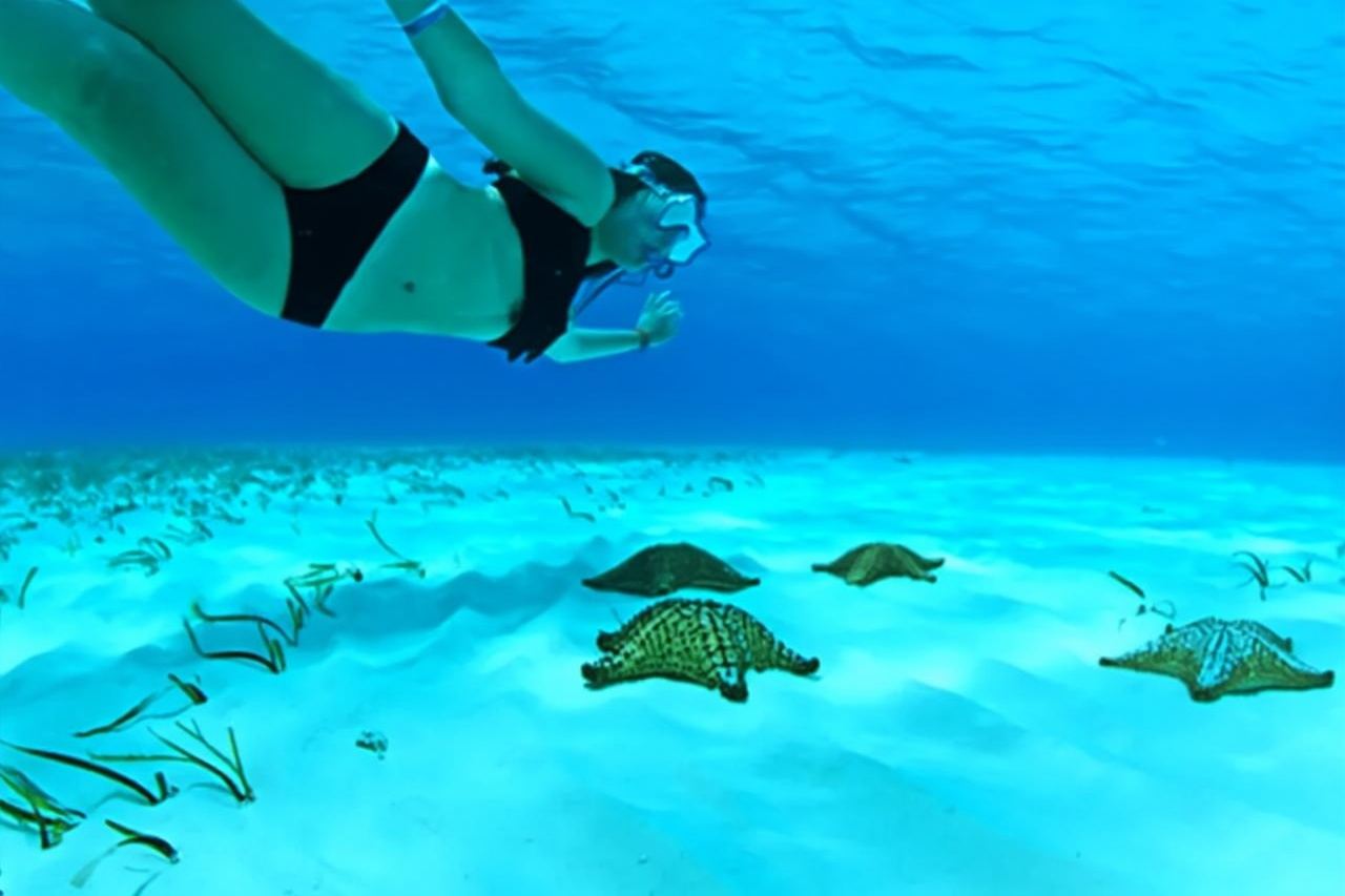 Avventura alle Cayman: Starfish Point, Stingray City e Coral Gardens