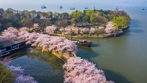 無錫黿頭渚+太湖遊船+拈花灣一日遊【泛湖山水&拈花日夜遊】