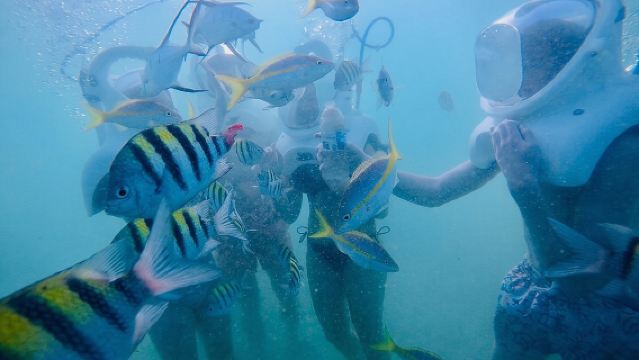 Underwater Sea Trek in San Juan: Explore Beneath the Waves