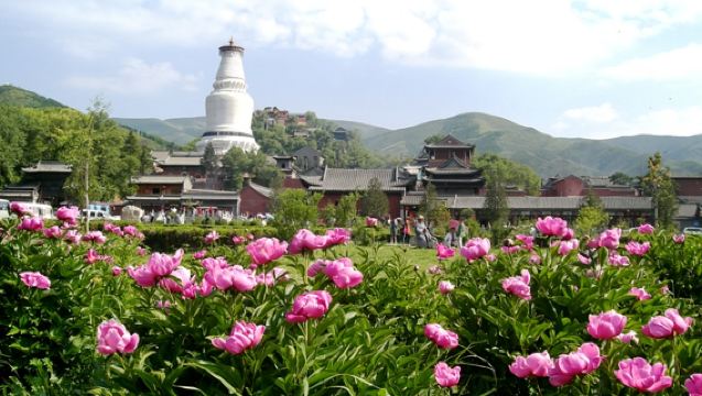 【太原/忻州包車接駁】五台山一日遊
