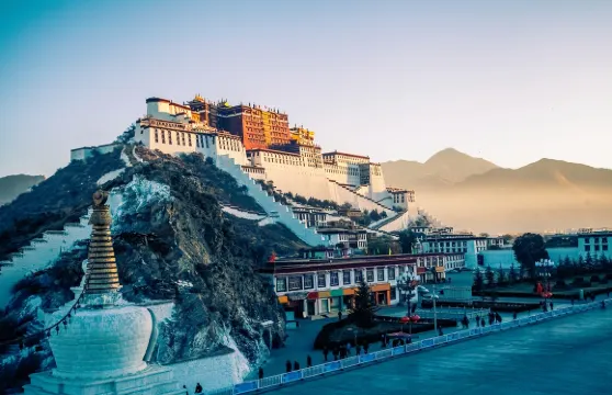 西藏全境翻譯 丨主流語種丨小語種丨導遊丨地陪丨研學丨Citywalk