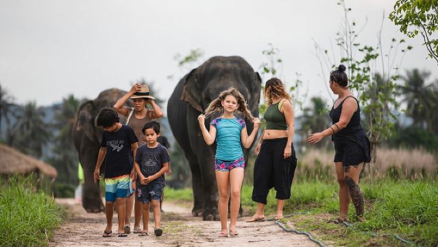 Santuario de Elefantes Jungle: Programa de media mañana