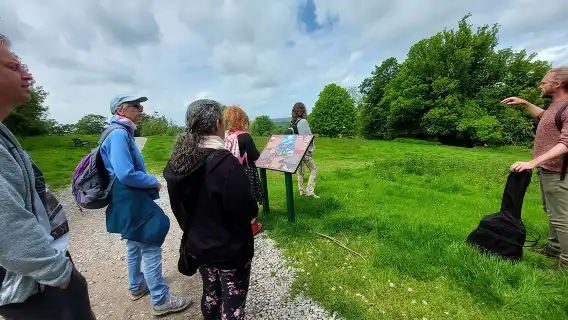 A Tour of Glastonbury, Guided by the Trees. 