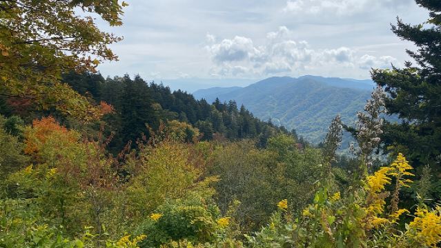 ハイポイントドライビングツアー