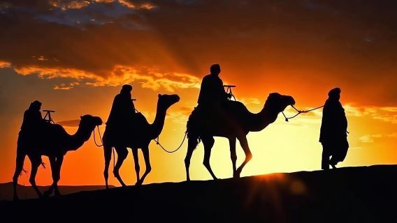 ''Marrakech'' Agafay Desert Sunset - Camel Ride - And Dinner Show