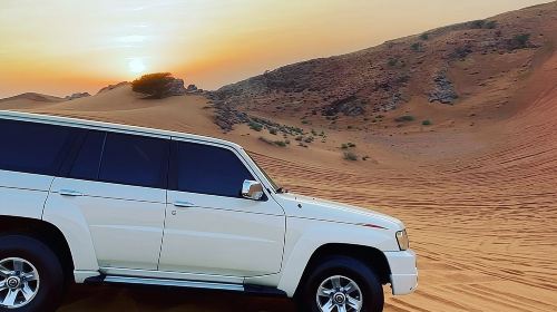 Dubai: Safari With Live BBQ Dinner, Camel Ride ,Live Performances Day Tours 3