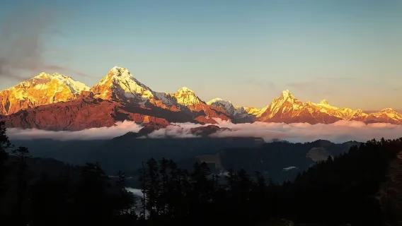 Pokhara: trekking guidato di 2 giorni a Poon Hill