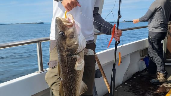 Stykkishólmur: Sea Angling Tour with Local Guide