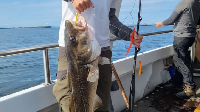 스티키스홀뮤르(Stikkishólmur): 현지 가이드와 함께하는 바다 낚시 투어