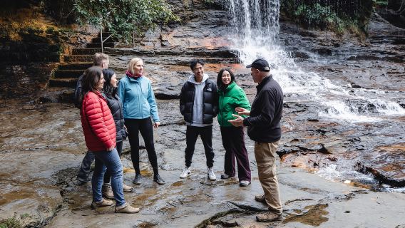 Dari Sydney: Tur Bushwalk Blue Mountains & Featherdale