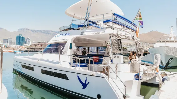 Cape Town: Coastal Cruise & 14-piece Sushi Meal