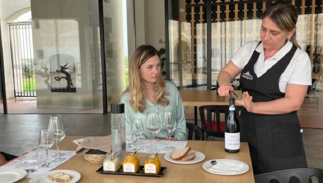 Palermo: Erice & Marsala Salt Pans Tour with Lunch & Tasting