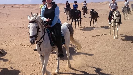 Hurghada: Atardecer en el mar, Caballo en el desierto con opción a caballo, cena y observación de estrellas