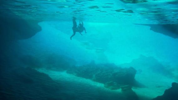 เกาะคูราเซา: ทัวร์เรือ Turtle Bay และ Blue Room พร้อมดำน้ำตื้น