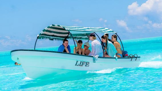 Snorkeling dan berenang bersama ikan lumba-lumba di pulau mnemba
