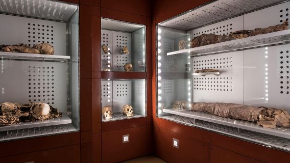 Тенерифе: входной билет в музей MUNA и экскурсия по легенде Тейде