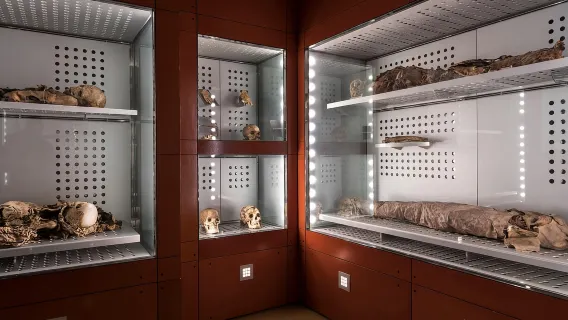 Teneriffa: Eintrittskarte für das MUNA-Museum und Teide-Legenden-Tour