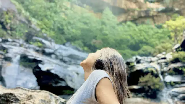 雪梨：藍山之旅（含風景世界和午餐選項）