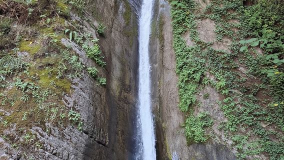 Parco Nazionale del Pollino: Trekking nella Riserva Naturale Argentino