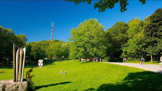 Notre-Dame de Montréal + Untergrundstadt + Mont Royal Park + Habitat 67 Tagesausflug