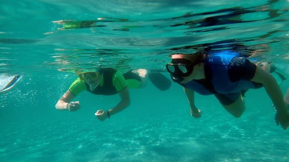 From Santa Pola: Snorkel Trip in Tabarca Island