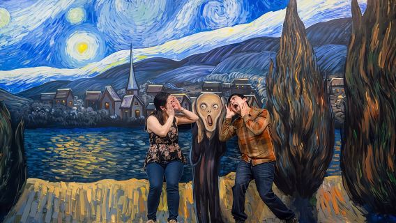 ArtVo Immersive Gallery Experience