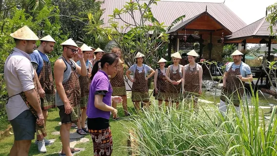 1 Day Trip: Cooking Morning Class Chiang Mai Visit Organic Garden and Market