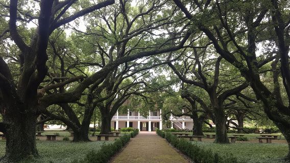 Tour della piantagione Whitney e dell'idroscivolante da New Orleans