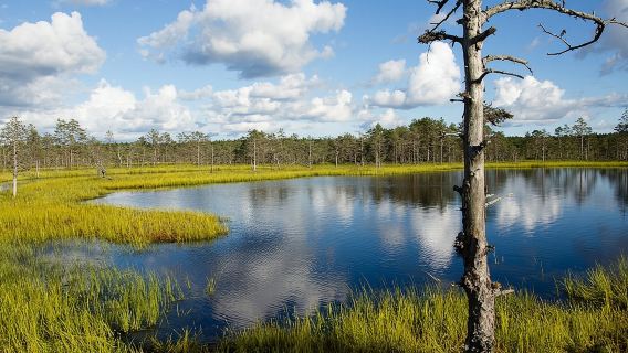 Lahemaa National Park Day Trip