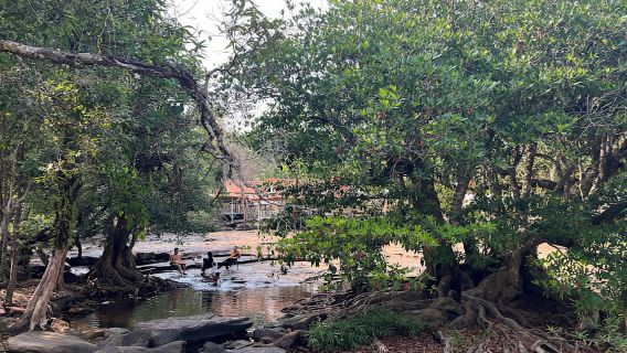 Tad Moun 2 Waterfalls one-day tour from Vientiane