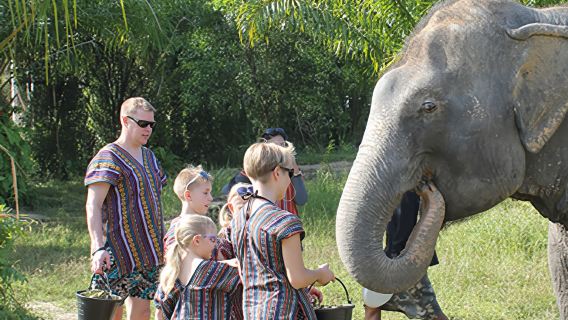 Escursione di mezza giornata al santuario degli elefanti di Phuket Kok Choo | Cura degli elefanti | Bagno con gli elefanti | Viaggio in famiglia