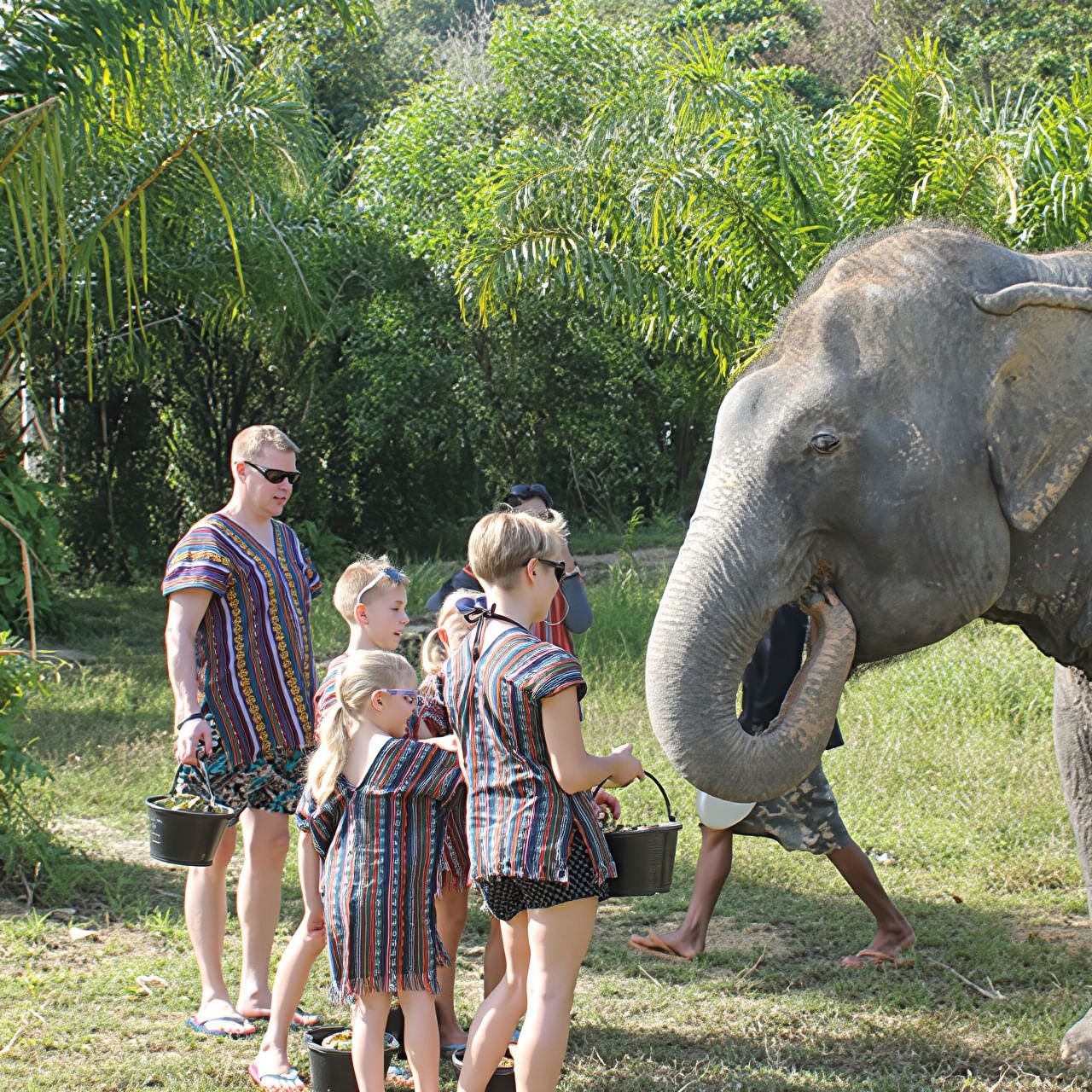 Excursión de medio día al Campamento de Protección de Elefantes en Phuket | Cuidado de elefantes | Baño con elefantes | Viaje en familia