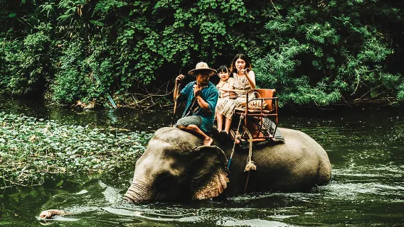 Pattaya Mongchang Cafe - Làng voi Thái Lan cưỡi voi tại Pattaya