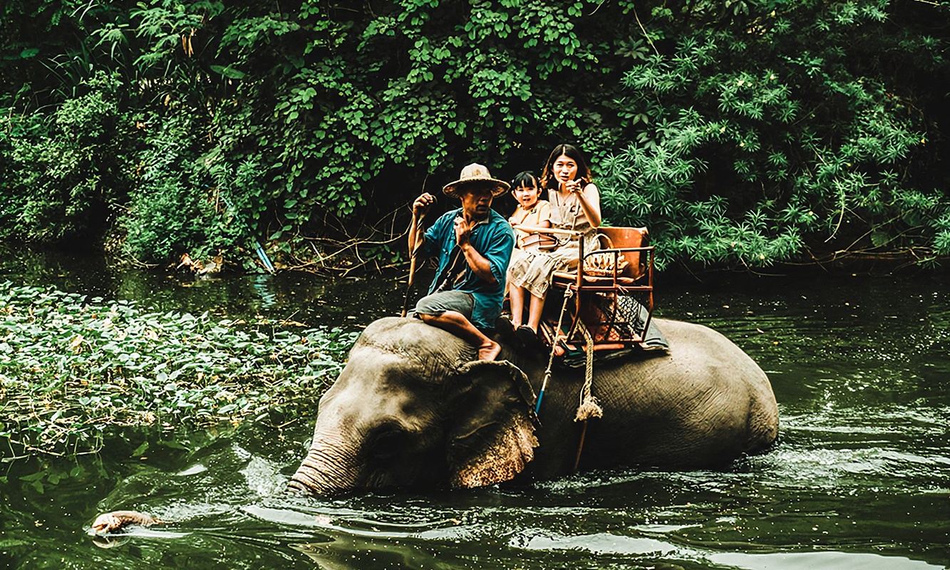 หมู่บ้านช้างพัทยา มงชางคาเฟ่ ขี่ช้างพัทยา