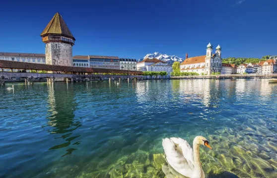 瑞士盧塞恩市區+盧塞恩湖一日遊+可定制【中文專車-舒適純淨】