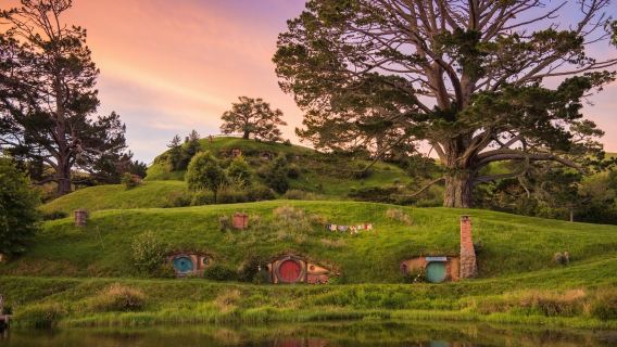 Tour bán ngày đến Làng Hobbit ở New Zealand: Tham quan có hướng dẫn viên + tiệc tự chọn tại điểm đến biểu tượng của New Zealand