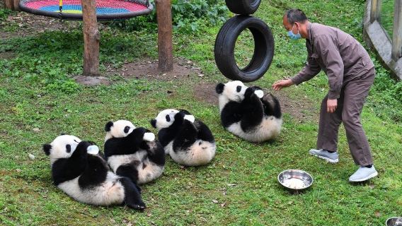ทัวร์สำรวจเมืองฉงชิ่งที่เหมาะสำหรับครอบครัว (รวมอาหารค่ำ)