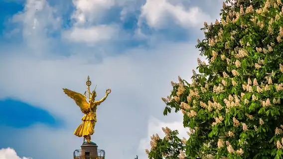 Best of Berlin HopOn HopOff Tour