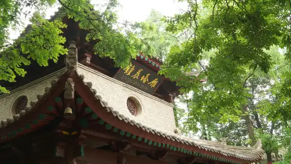 陝西西安博物院-人工講解/含參觀門票/西安博物院+小雁塔講解【含講解耳麥/多時間場次可選】