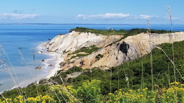 ทริปวันเดียวจากบอสตันสู่เกาะมาร์ธาส์ไวน์ยาร์ด พร้อมตัวเลือกทัวร์รอบเกาะ