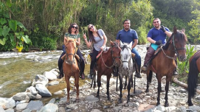 Cocora Valley and Salento Horseback Riding Day Tour