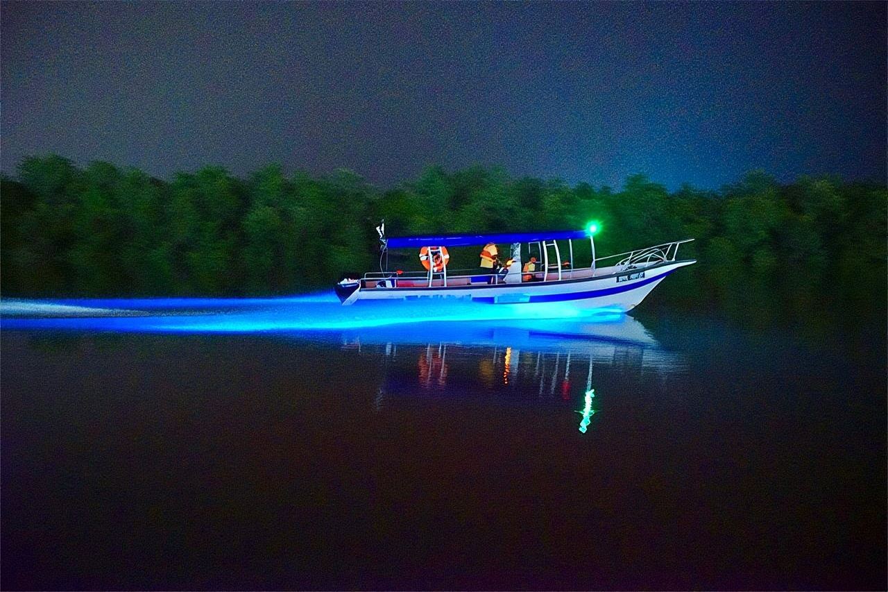 Kuala Selangor fireflies and Blue tears half-day tour + Kuala Lumpur meeting point + includes boat ticket