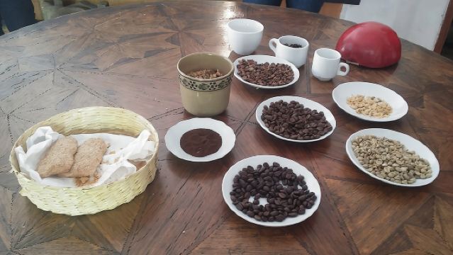 維拉克魯斯出發的科阿特佩克與西科魔法小鎮暨哈拉帕一日遊